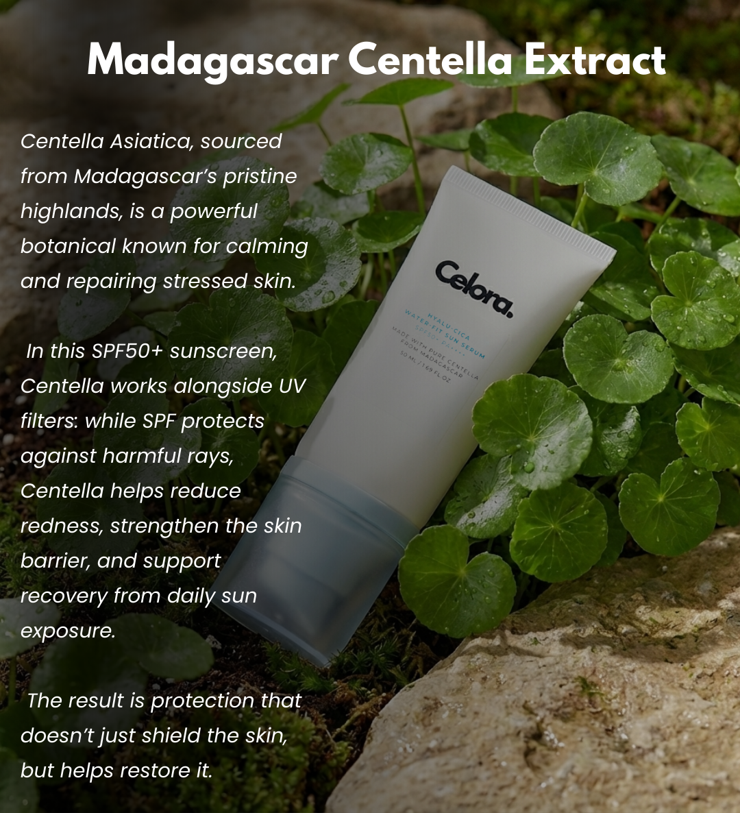 Celora | Effortless Radiance Sun Serum SPF50+ PA++++