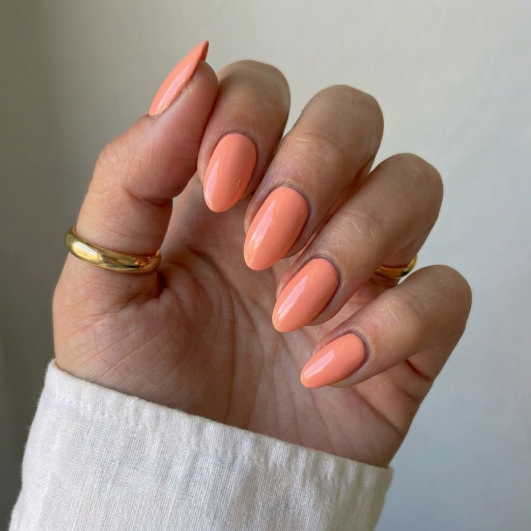 Sunset Peach