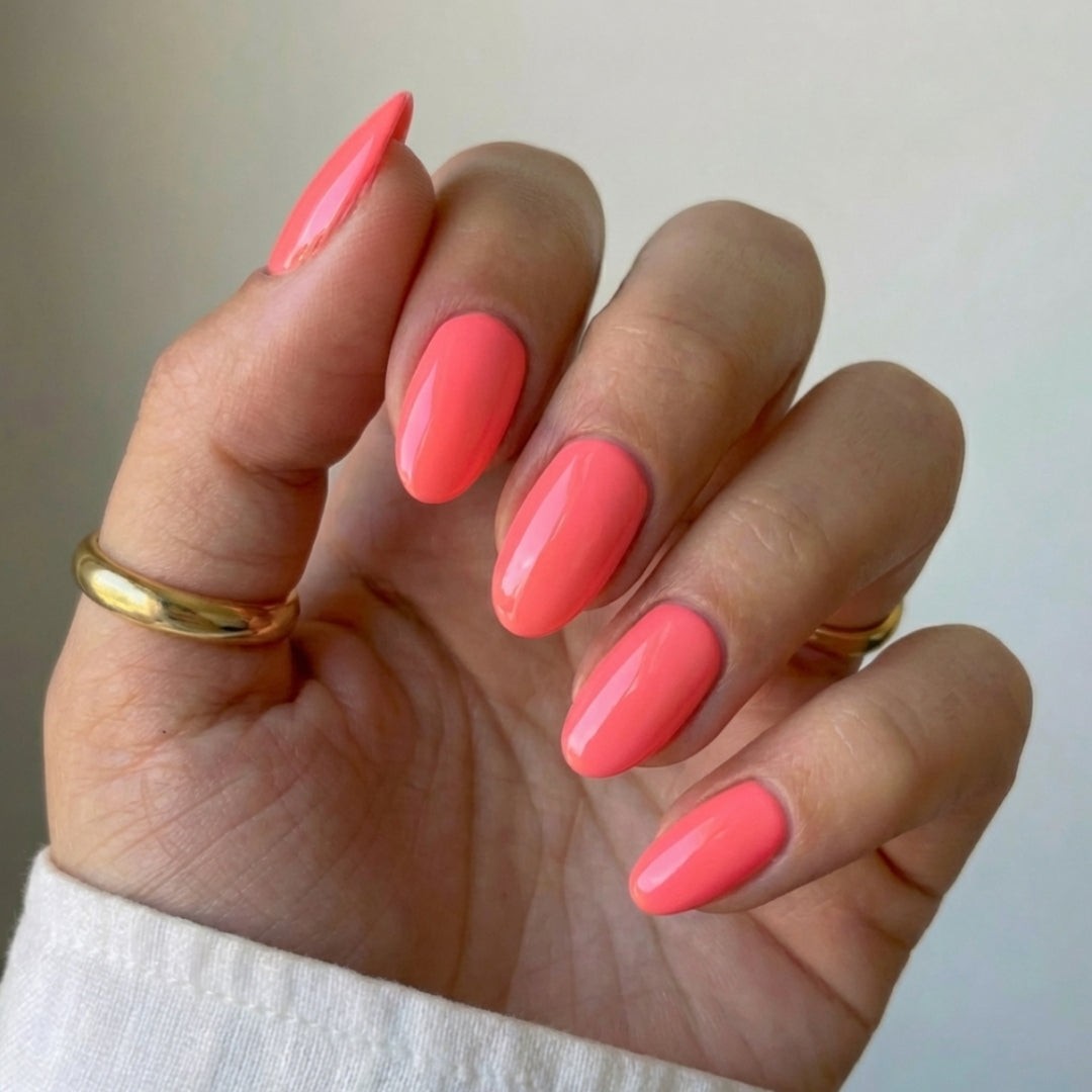Flamingo Pop