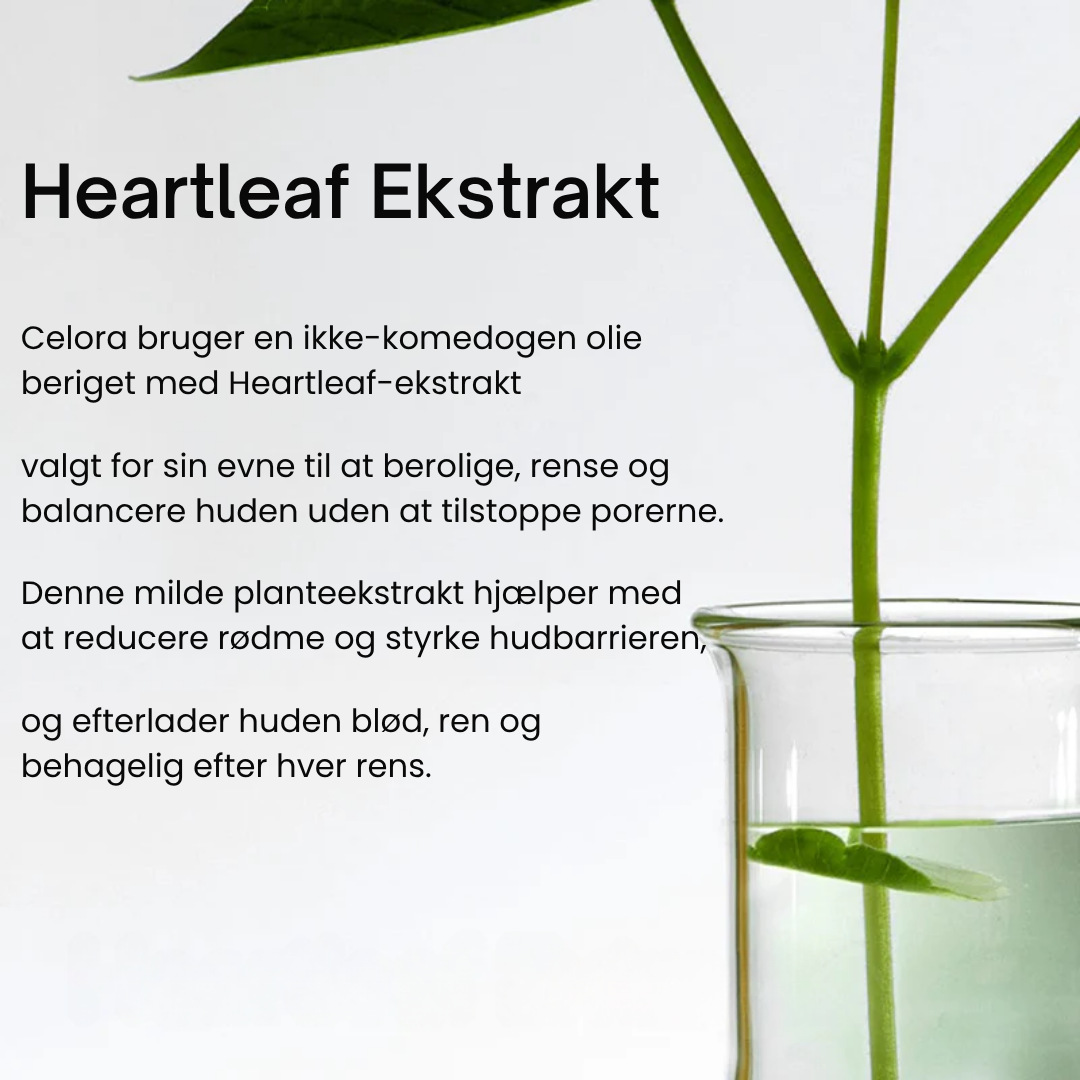 Celora | Purity Cleansing Oil