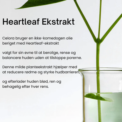 Celora | Purity Cleansing Oil