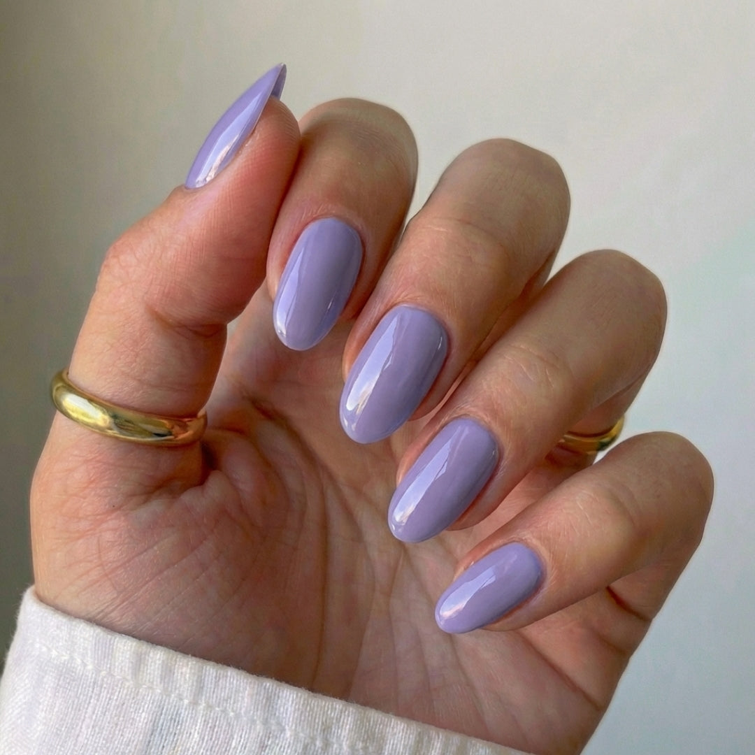 Lavender Bloom
