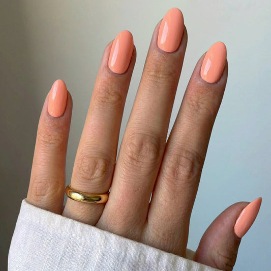 Sunset Peach