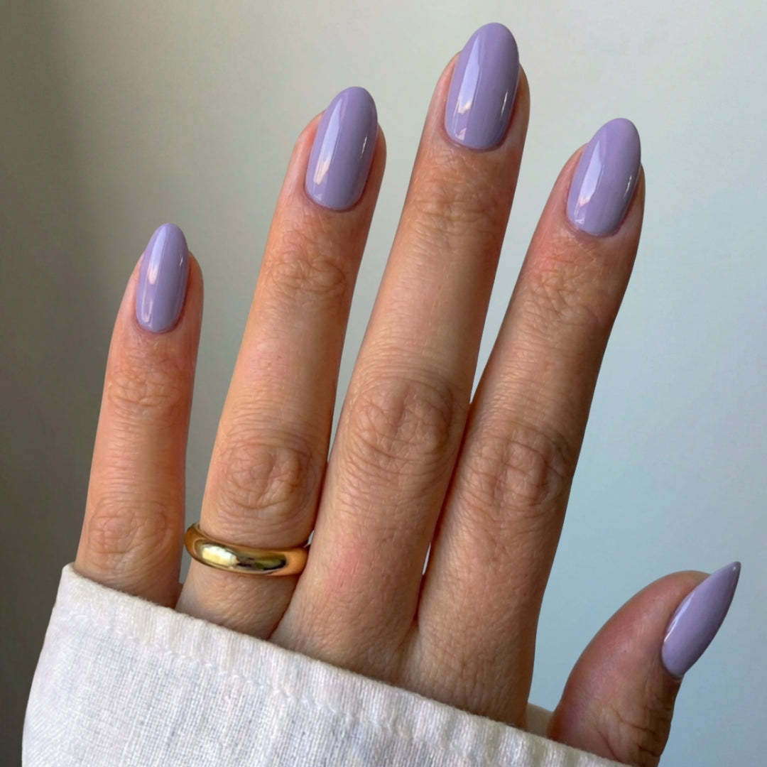 Lavender Bloom